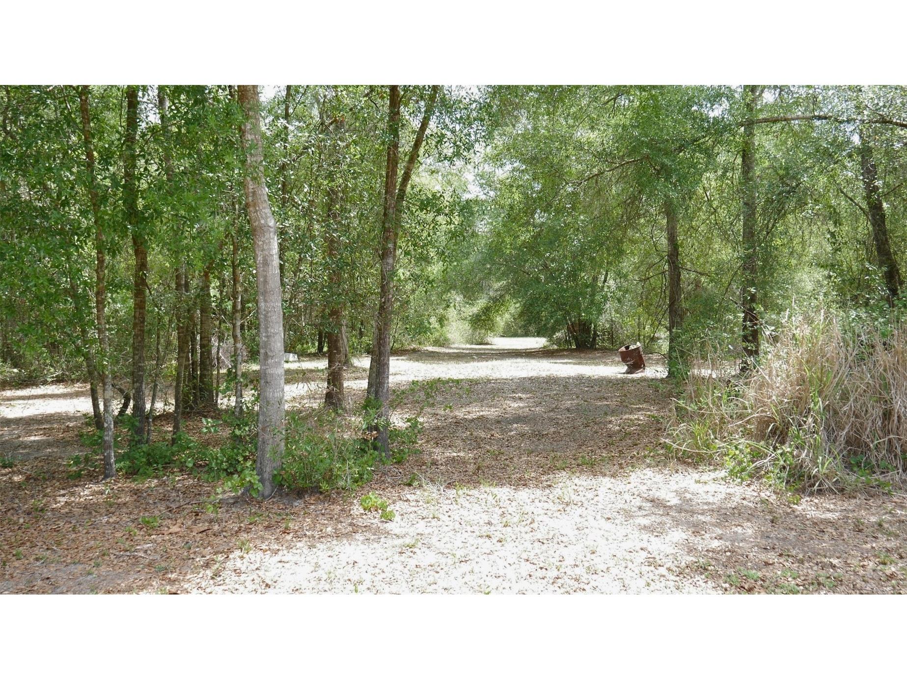 17622 Caufield Road Spring Hill FL 34610 W7884777 image5