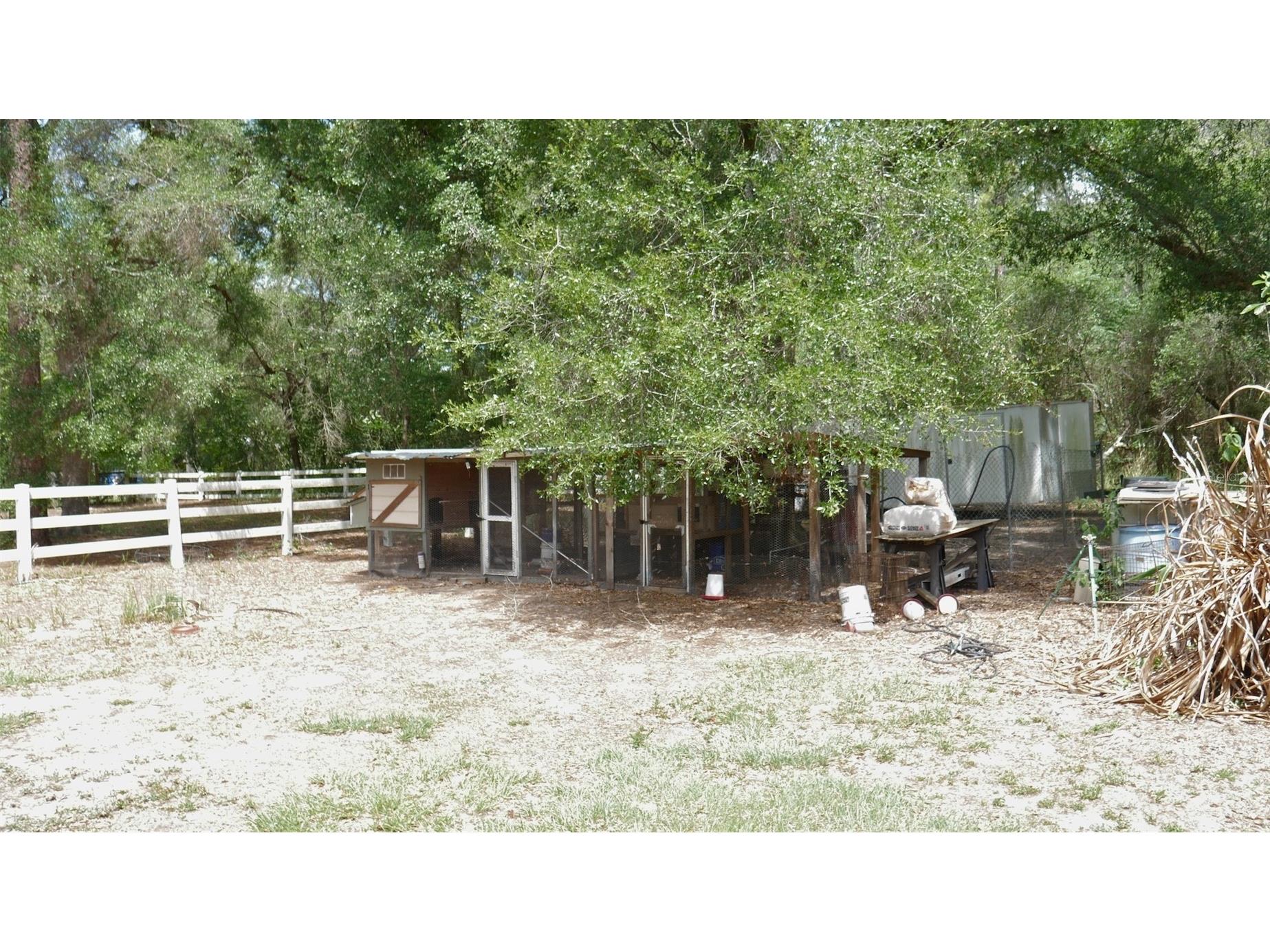 17622 Caufield Road Spring Hill FL 34610 W7884777 image8