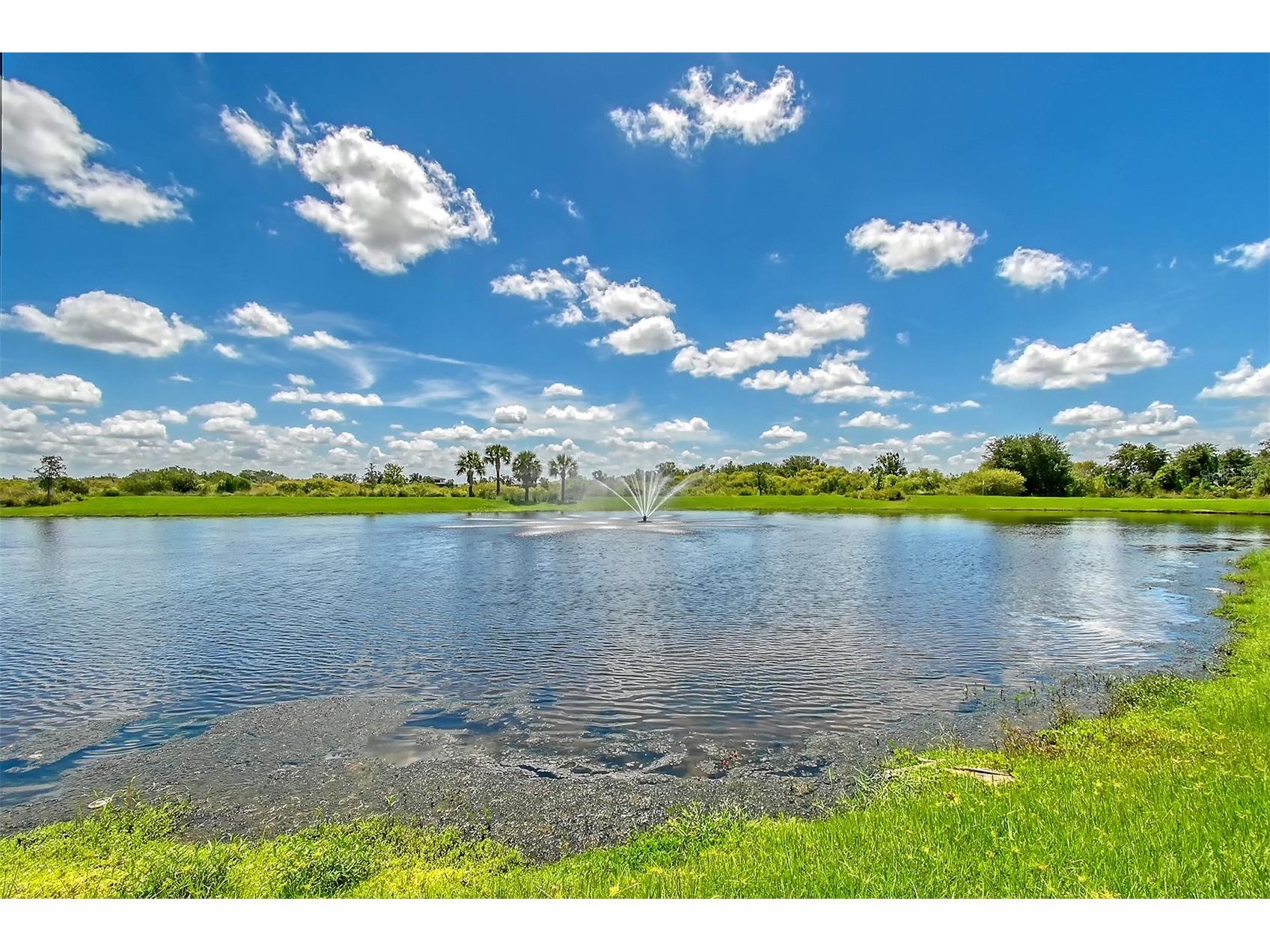 17624 Crescent Moon Loop Bradenton FL 34211 A4691705 image77