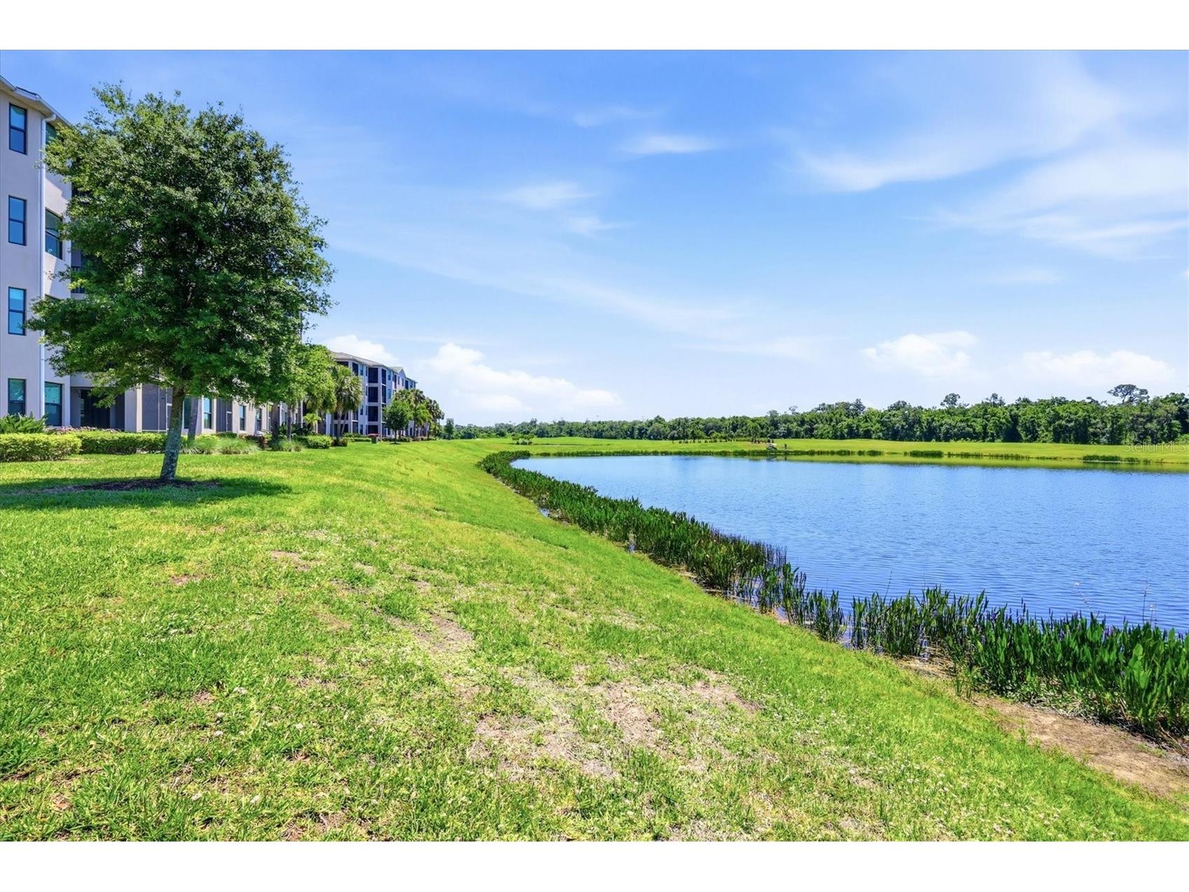 17626 Gawthrop Drive #208 Bradenton FL 34211 A4690549 image33