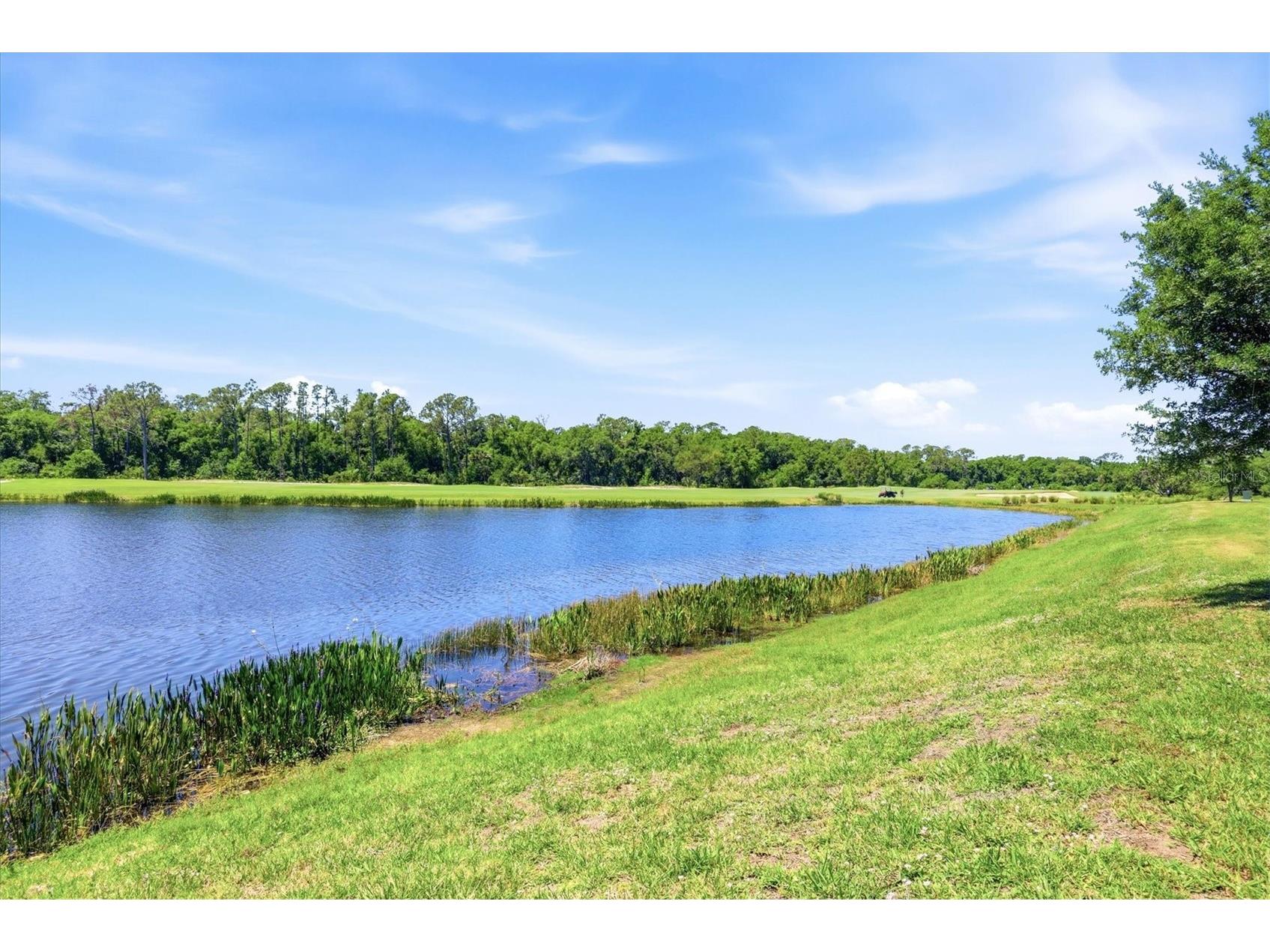 17626 Gawthrop Drive #208 Bradenton FL 34211 A4690549 image34