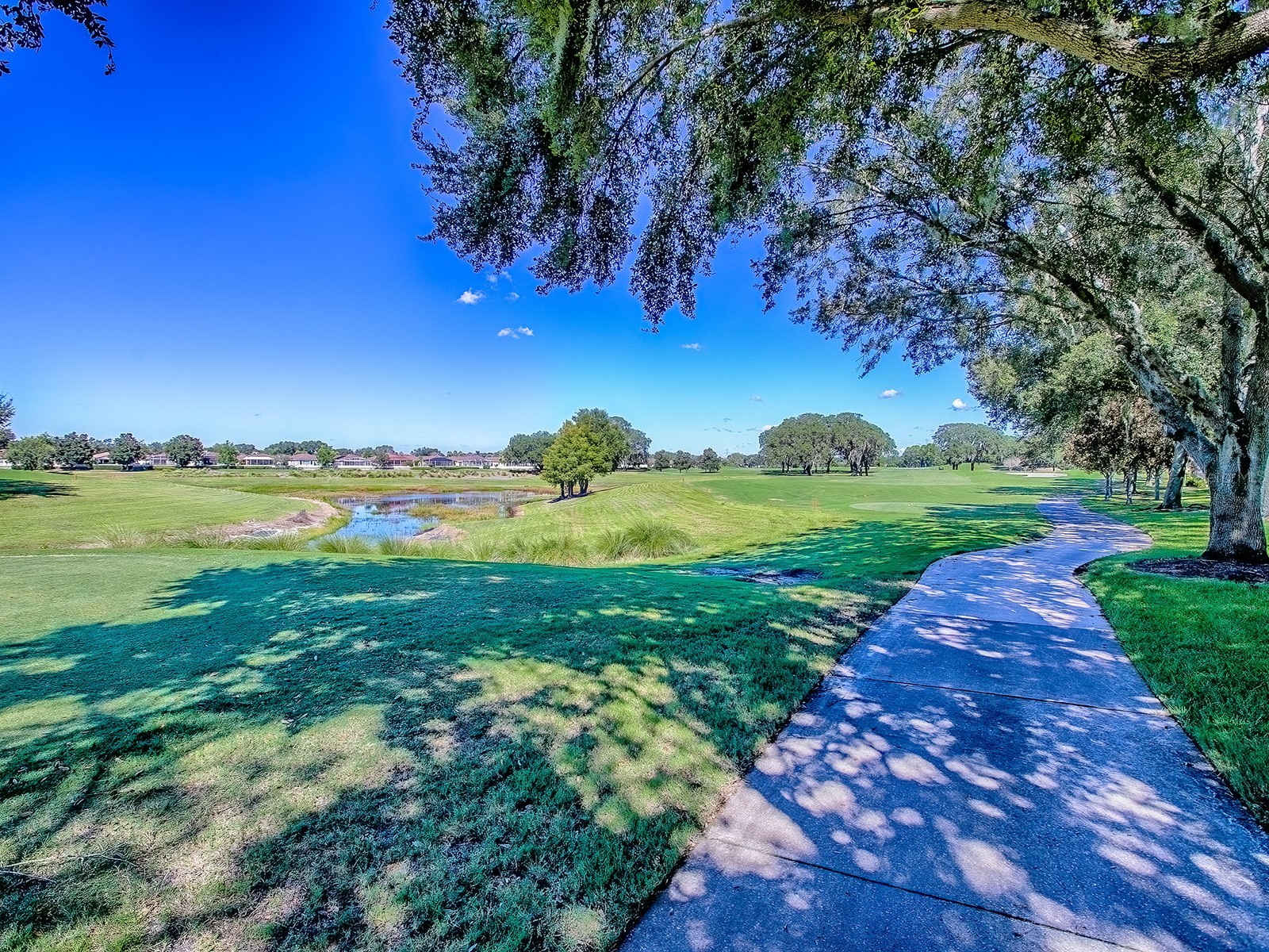 17627 SE 88th Covington Circle The Villages FL 32162 G5104117 image1