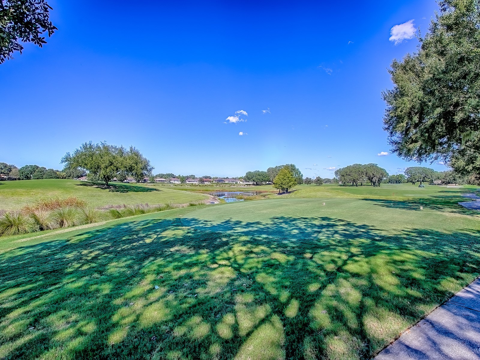 17627 SE 88th Covington Circle The Villages FL 32162 G5104117 image40