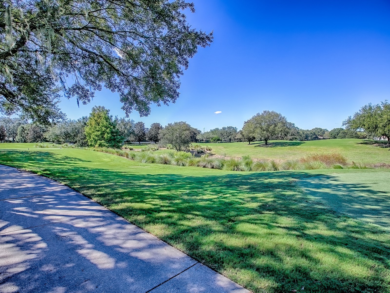 17627 SE 88th Covington Circle The Villages FL 32162 G5104117 image41