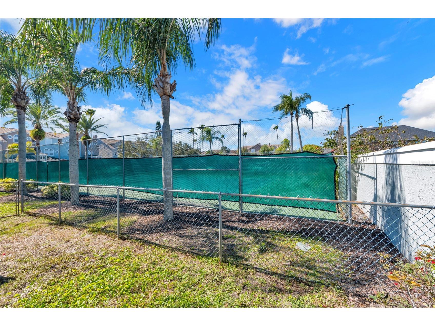 1763 Arabian Lane Palm Harbor FL 34685 W7882695 image40
