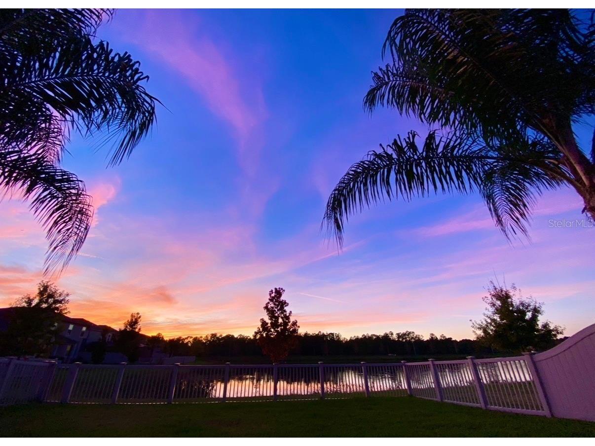 1763 Oak Hammock Court Lutz FL 33558 TB8473180 image30