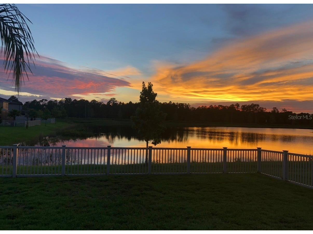 1763 Oak Hammock Court Lutz FL 33558 TB8473180 image31