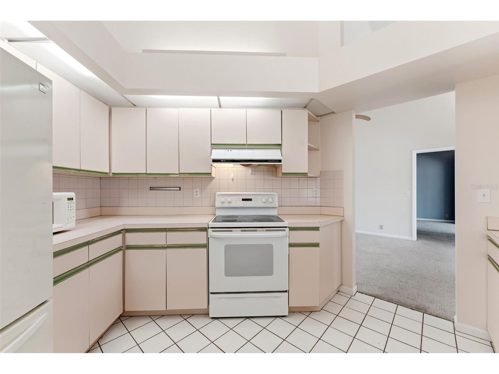 1763 Pebble Hill Court Palm Harbor FL 34683 TB8525142 image15