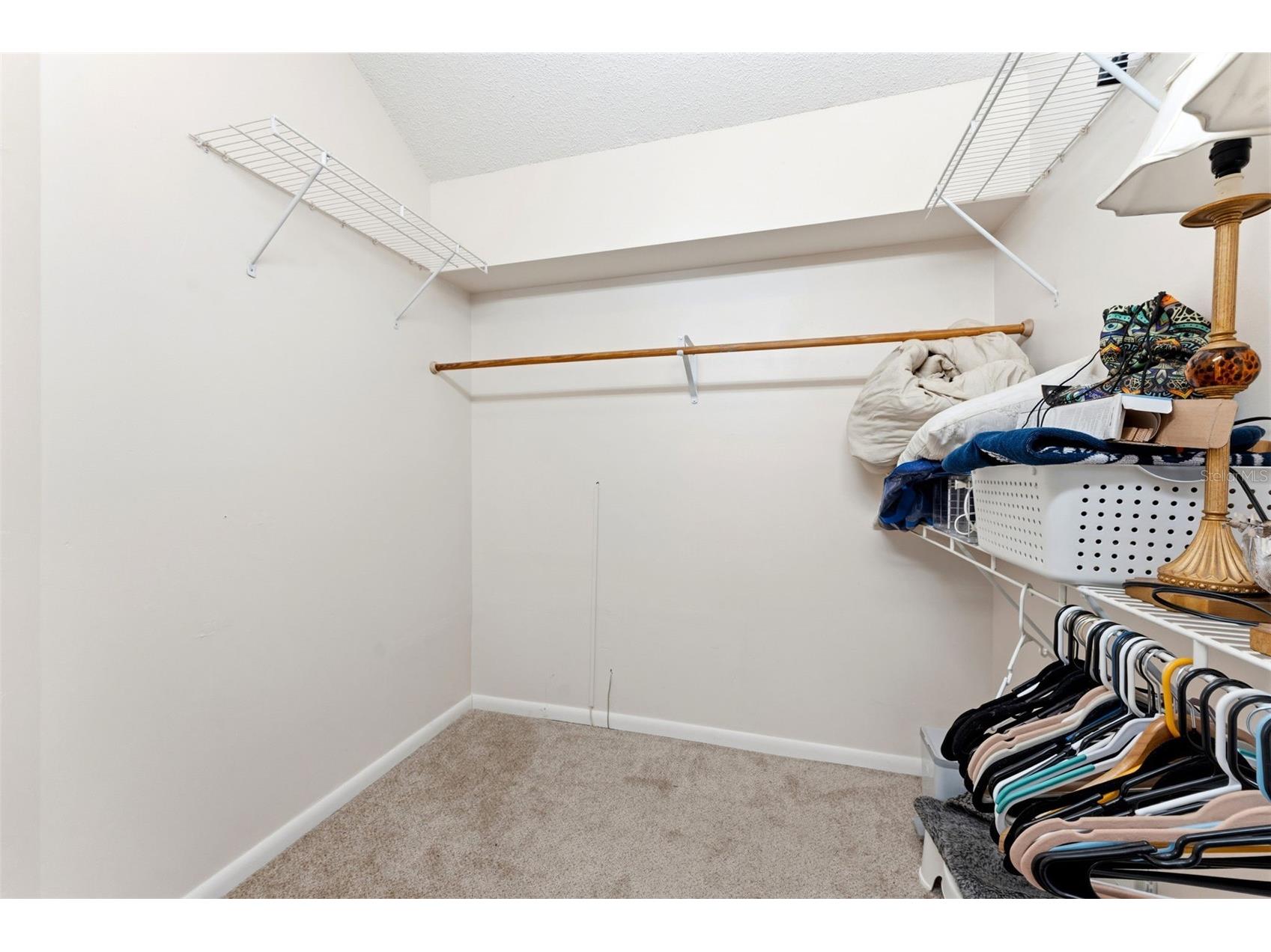 1763 Pebble Hill Court Palm Harbor FL 34683 TB8525142 image27