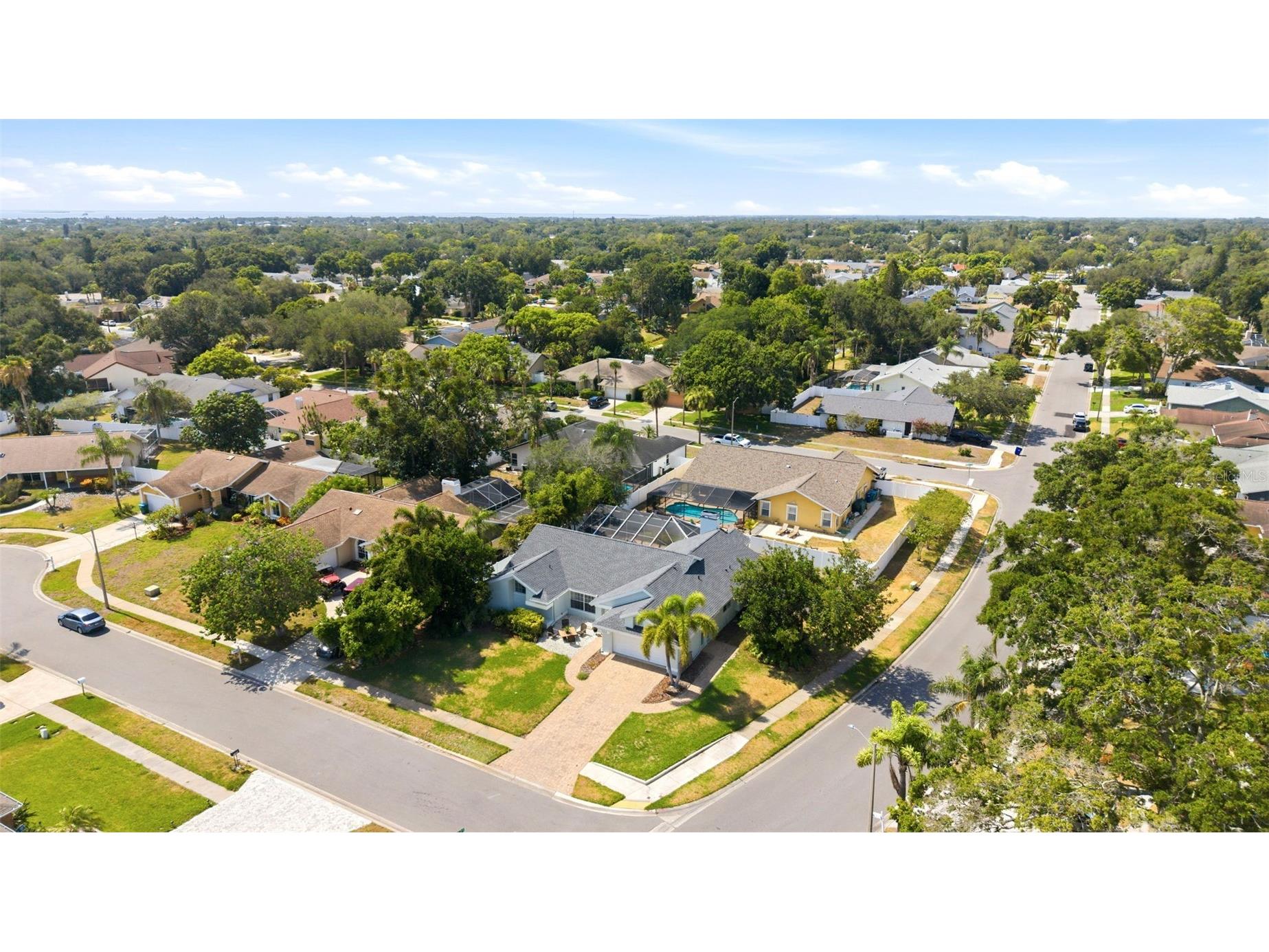 1763 Pebble Hill Court Palm Harbor FL 34683 TB8525142 image45