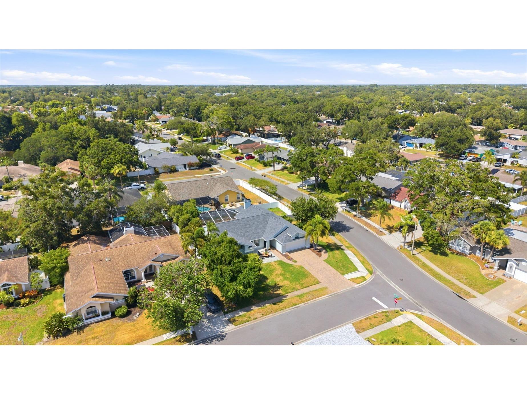 1763 Pebble Hill Court Palm Harbor FL 34683 TB8525142 image49