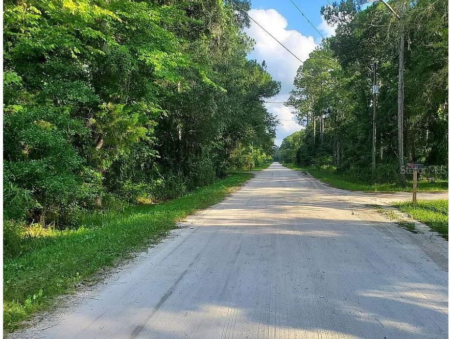 1763 Sherwood Street Bunnell FL 32110 A4698477 image1