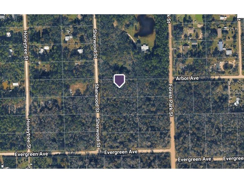 1763 Sherwood Street Bunnell FL 32110 A4698477 image2