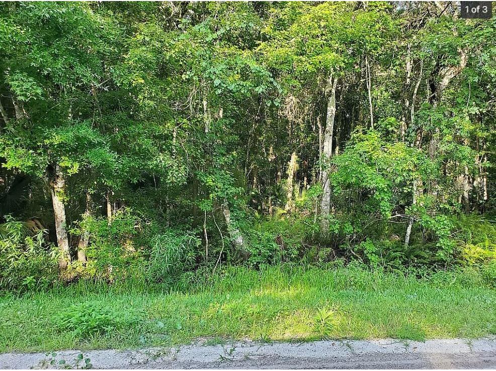 1763 Sherwood Street Bunnell FL 32110 A4698477 image3