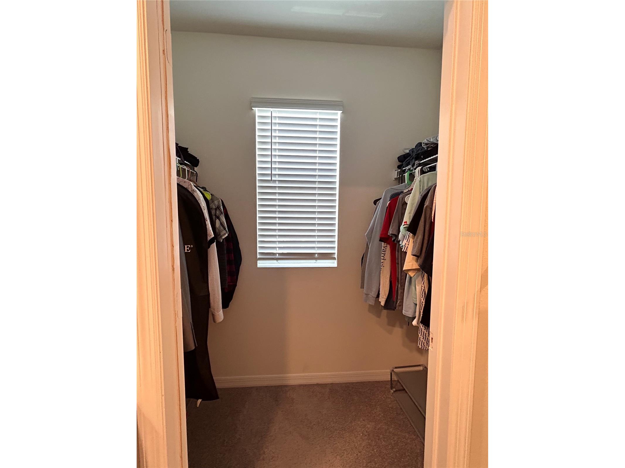 17630 Canopy Place Bradenton FL 34211 A4691381 image15