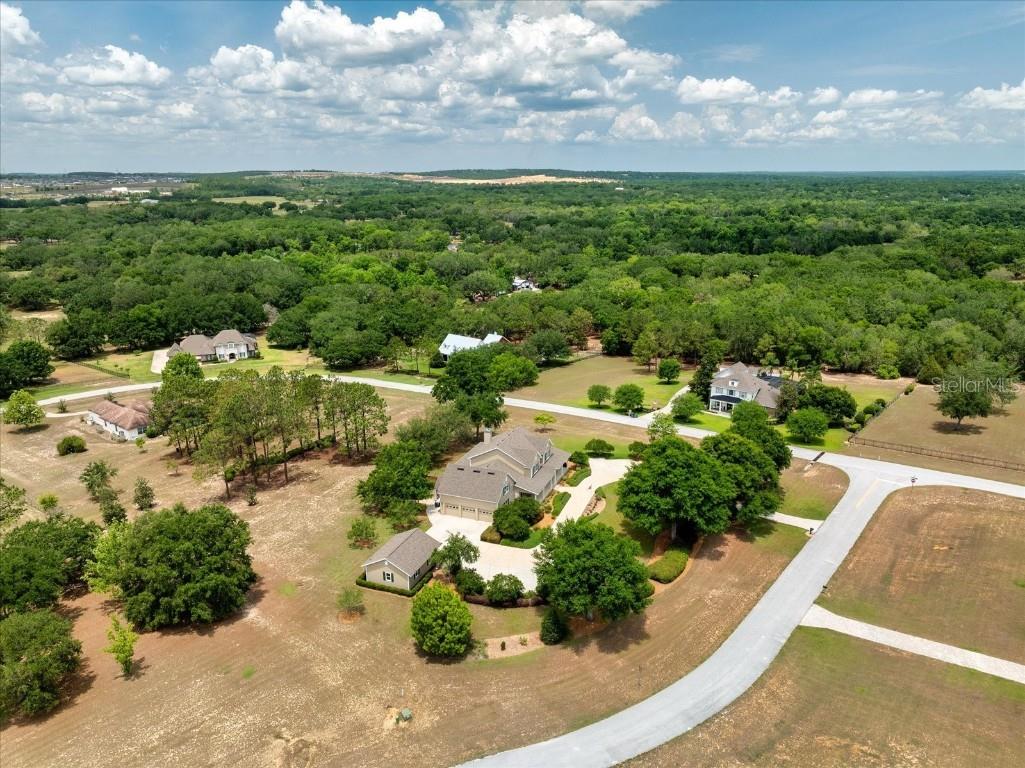 17631 Vista Belle Court Montverde FL 34756 O6307306 image84