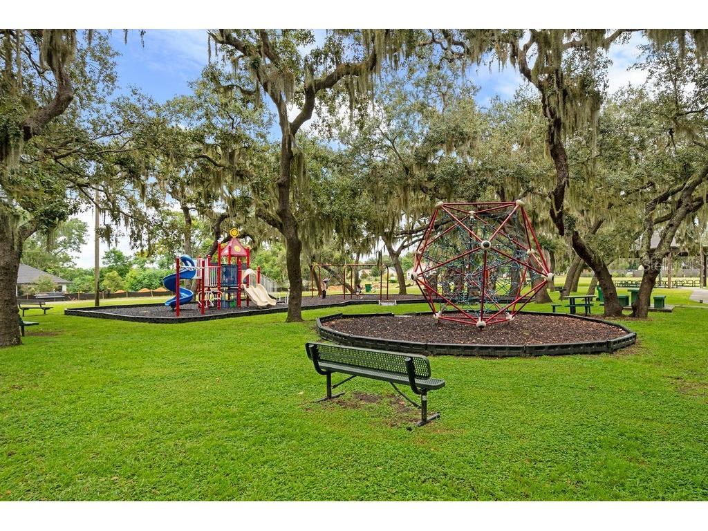 17631 Vista Belle Court Montverde FL 34756 O6307306 image90