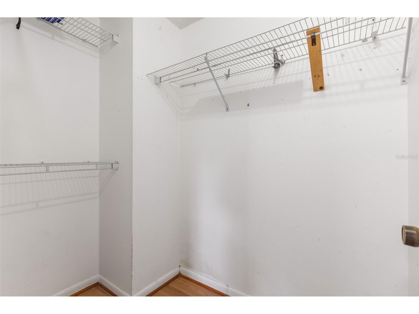 17635 Meadowbridge Drive Lutz FL 33549 TB8497811 image19