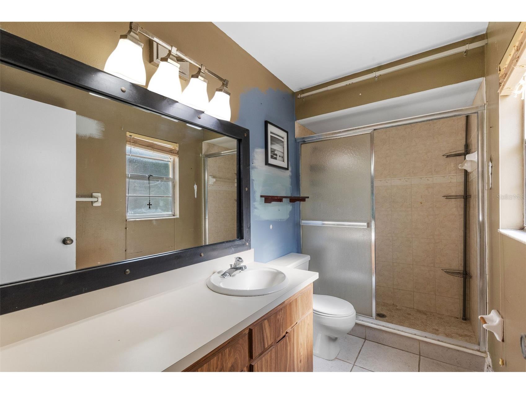 17635 Meadowbridge Drive Lutz FL 33549 TB8497811 image20