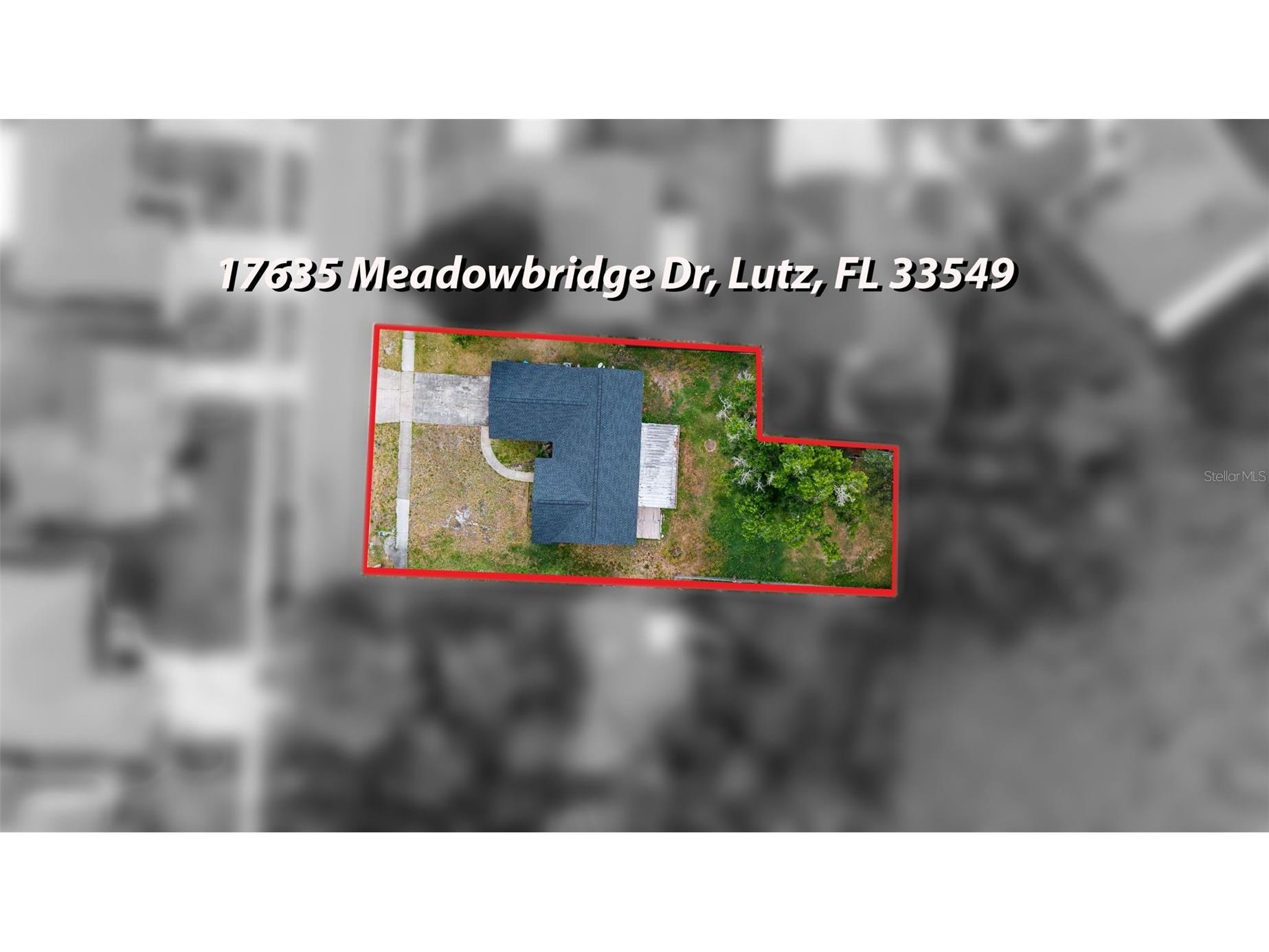 17635 Meadowbridge Drive Lutz FL 33549 TB8497811 image34
