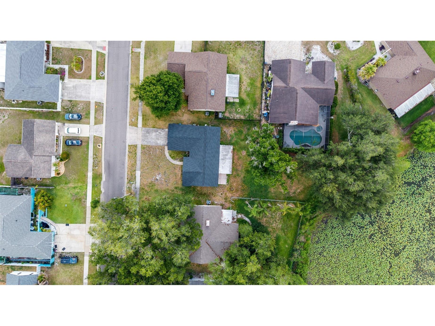 17635 Meadowbridge Drive Lutz FL 33549 TB8497811 image35