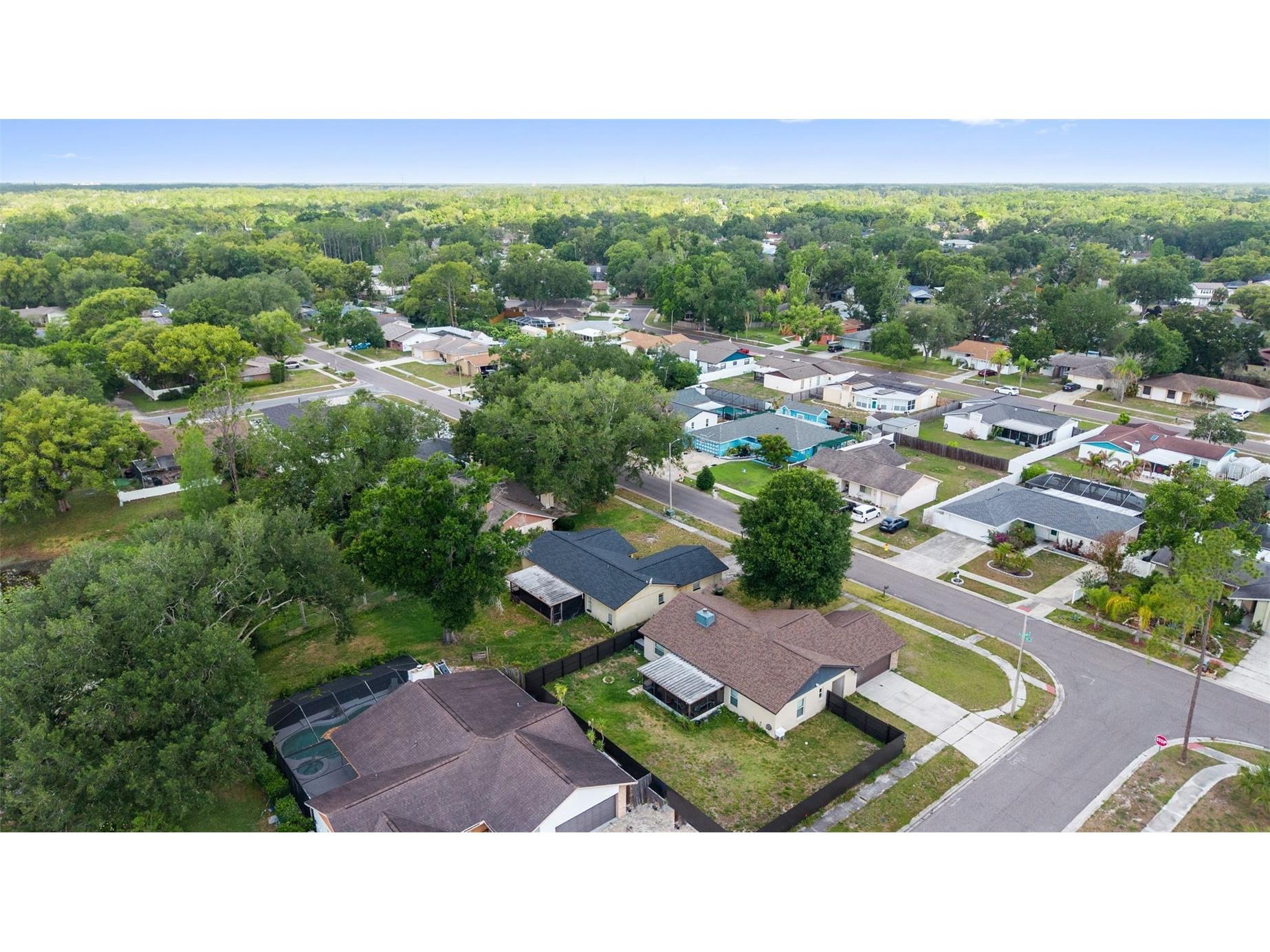 17635 Meadowbridge Drive Lutz FL 33549 TB8497811 image36