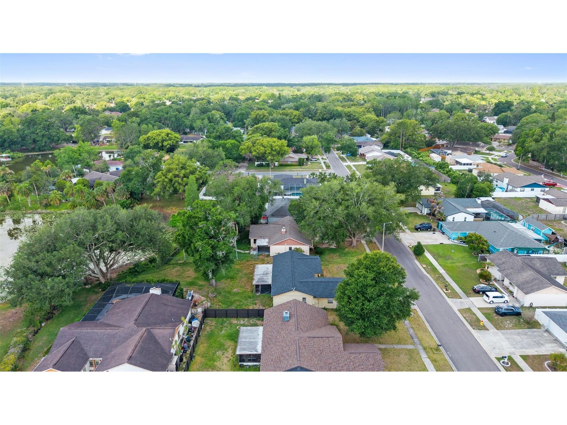 17635 Meadowbridge Drive Lutz FL 33549 TB8497811 image37