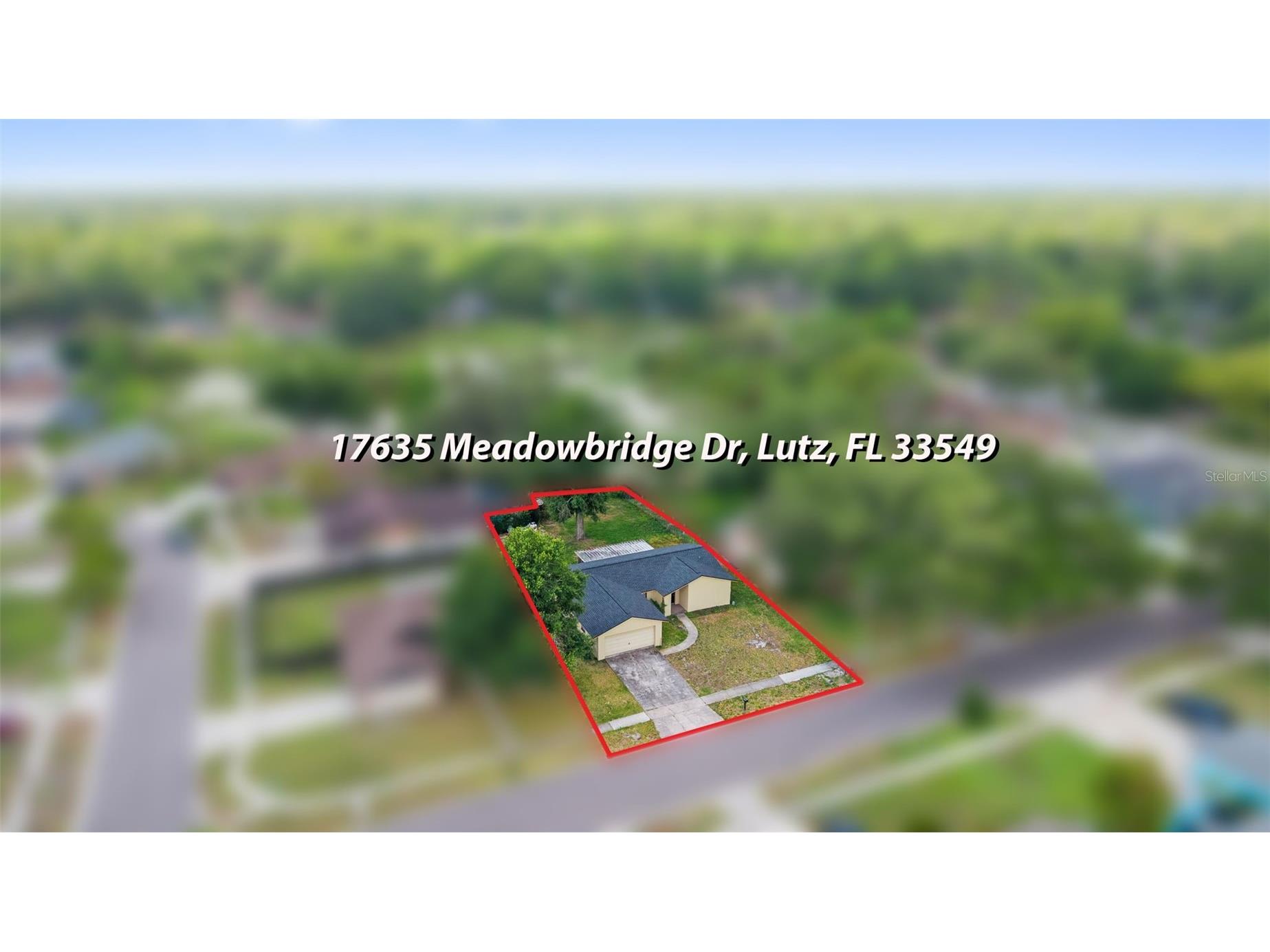 17635 Meadowbridge Drive Lutz FL 33549 TB8497811 image38