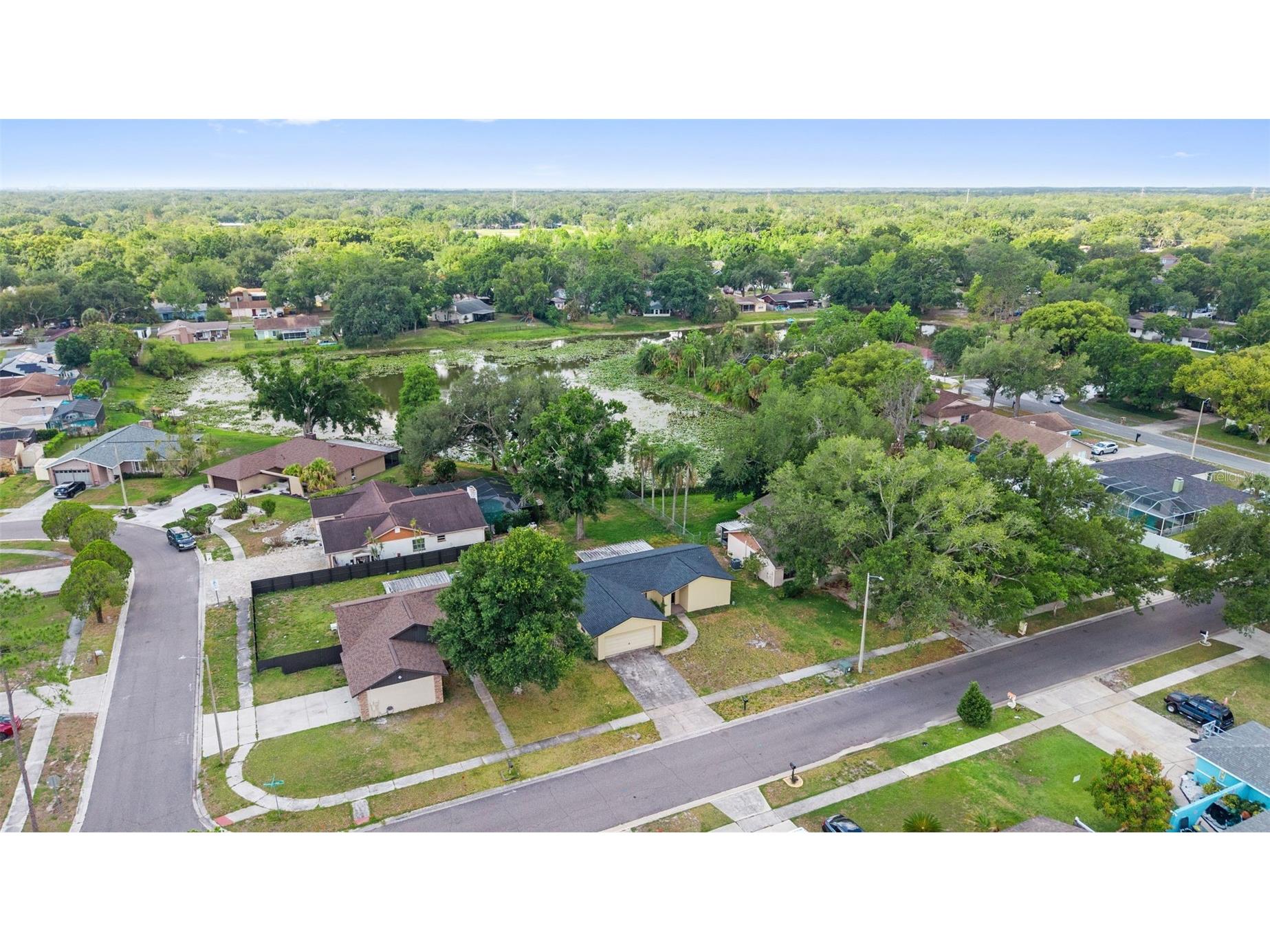 17635 Meadowbridge Drive Lutz FL 33549 TB8497811 image39