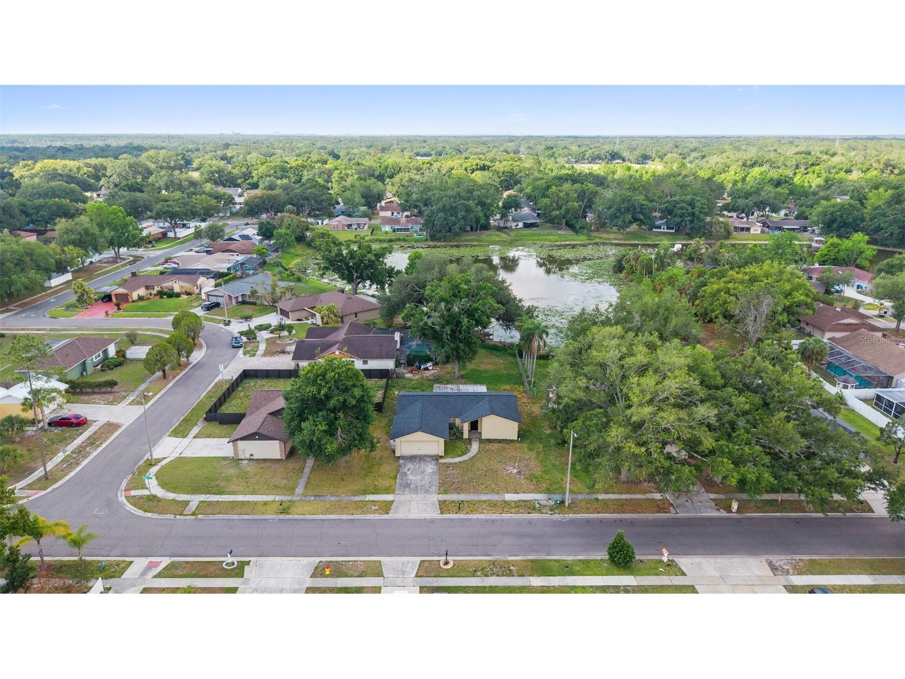 17635 Meadowbridge Drive Lutz FL 33549 TB8497811 image43