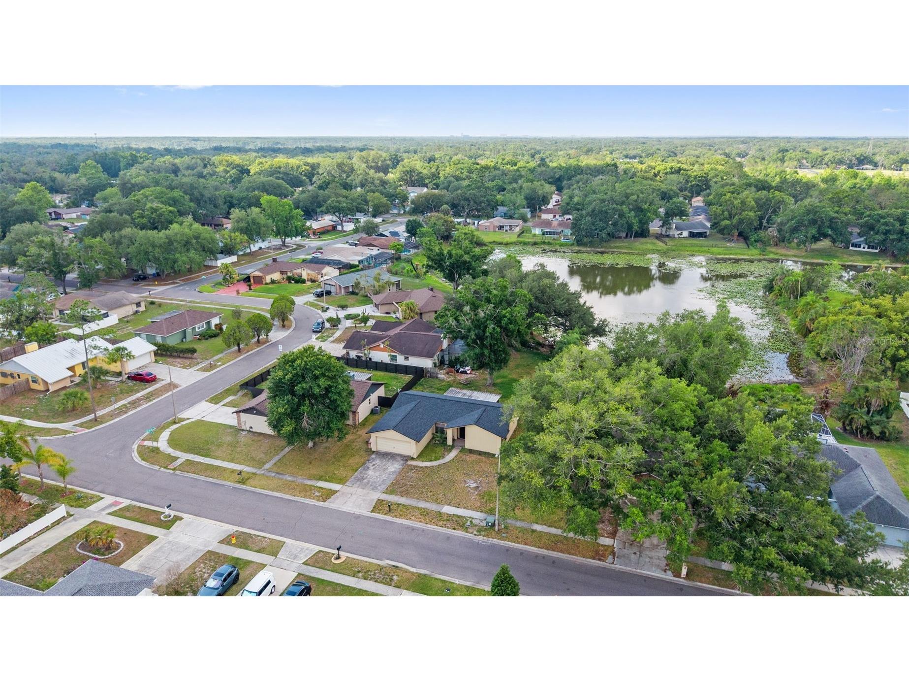 17635 Meadowbridge Drive Lutz FL 33549 TB8497811 image44