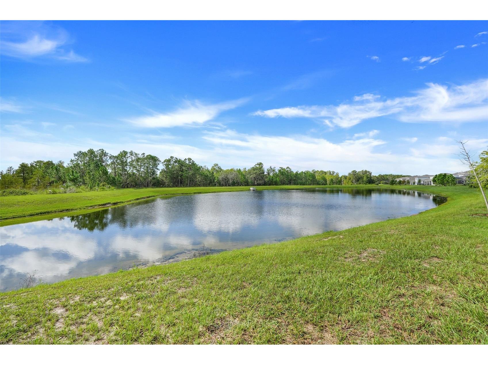 17635 Saw Palmetto Avenue Clermont FL 34714 G5102688 image5