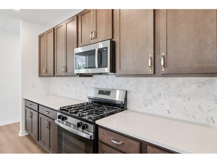 17637 Lake Star Road Winter Garden FL 34787 TB8528999 image13