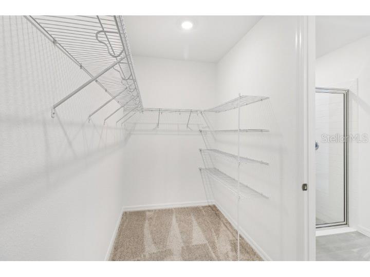 17637 Lake Star Road Winter Garden FL 34787 TB8528999 image22
