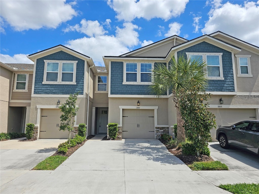 17637 Ledger Line Lane Lutz FL 33558 T3514331 image1