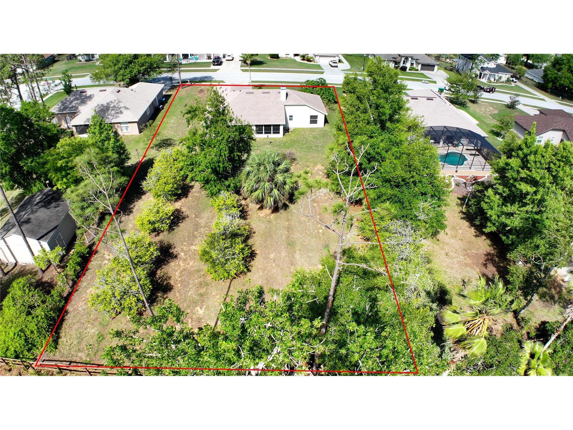 17638 Windy Pine Street Montverde FL 34756 O6398672 image3