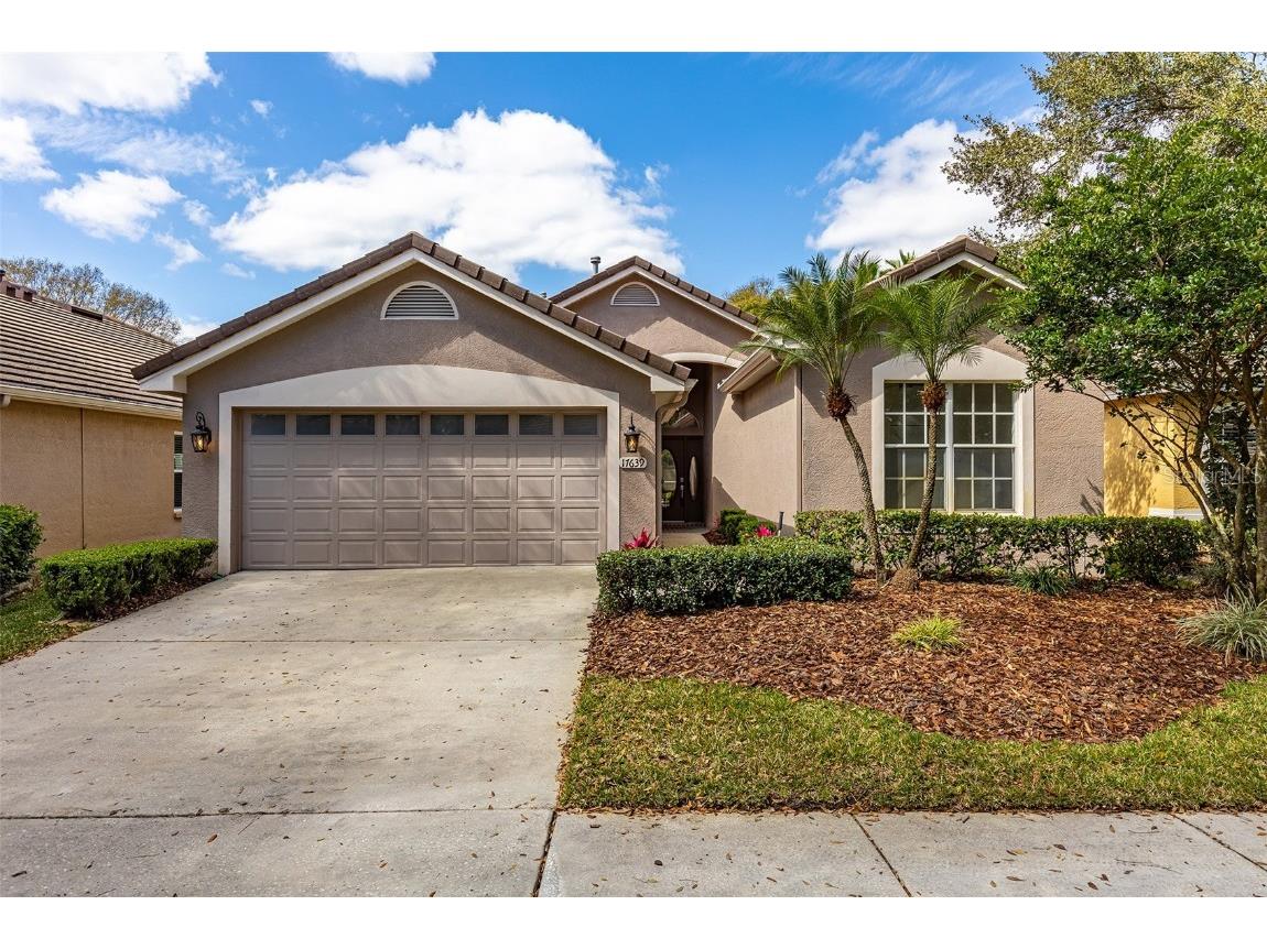 17639 Nathans Drive Tampa FL 33647 U8190936 image1