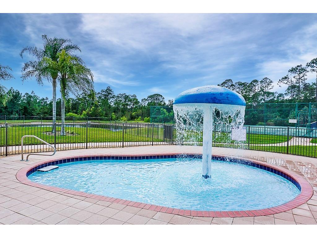 1764 Coriander Drive Kissimmee FL 34759 S5149326 image17