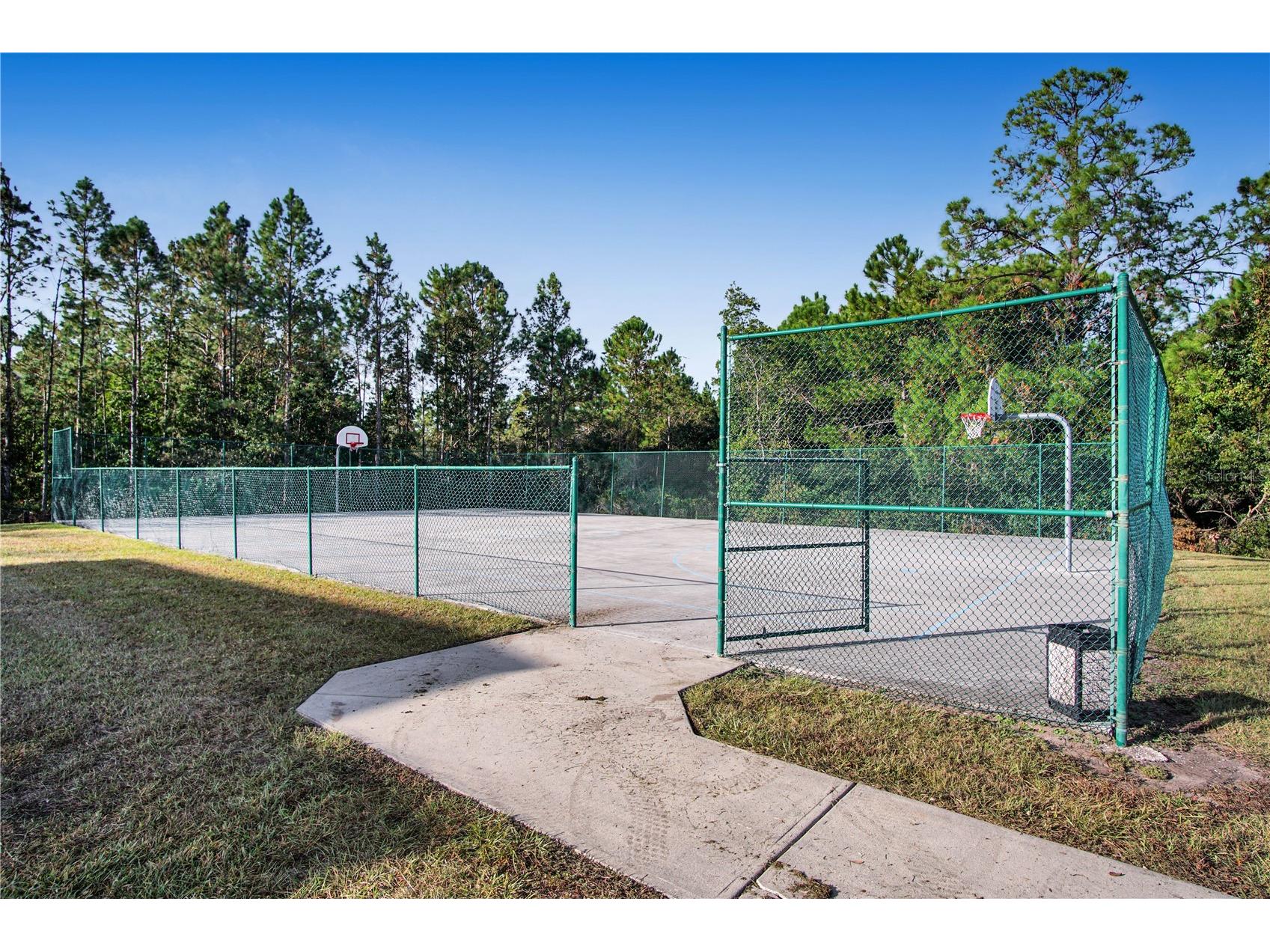 1764 Coriander Drive Kissimmee FL 34759 S5149326 image24
