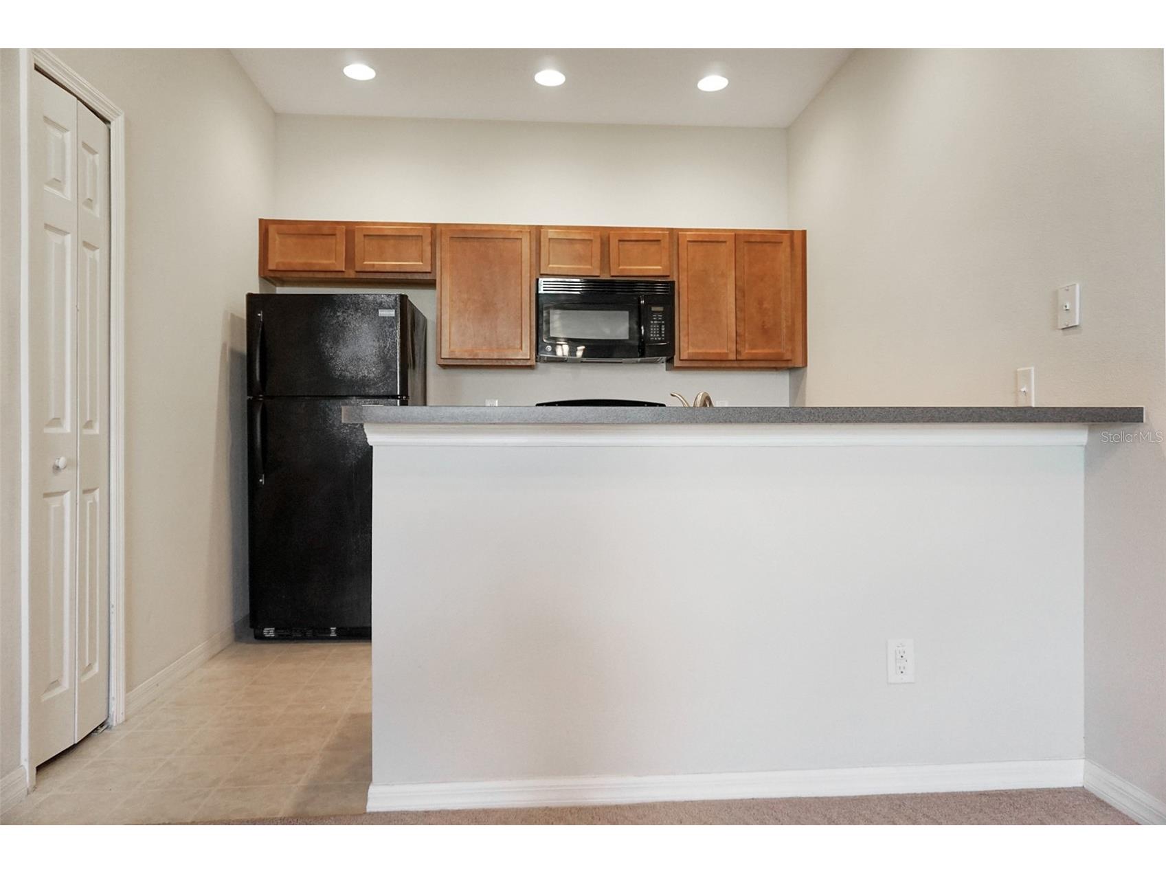 1764 Coriander Drive Kissimmee FL 34759 S5149326 image6