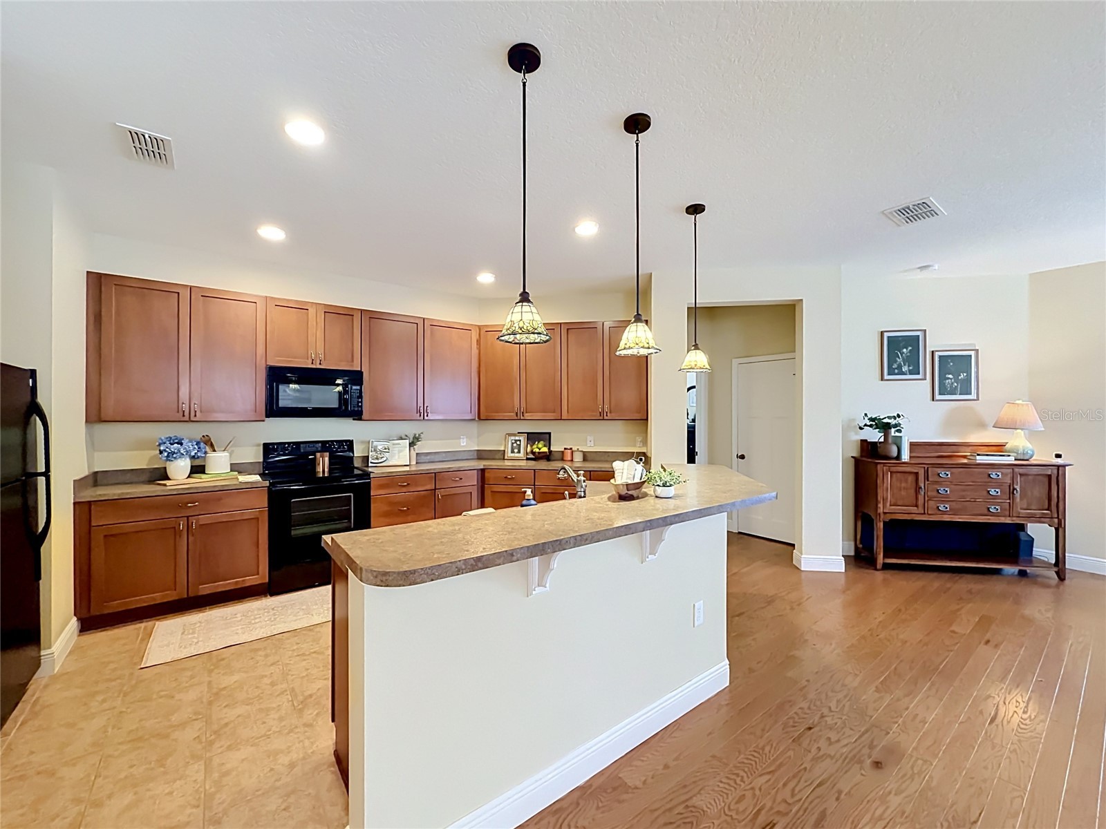 1764 Dunedin Drive Tavares FL 32778 - LAKE ELSIE O6411342 image6