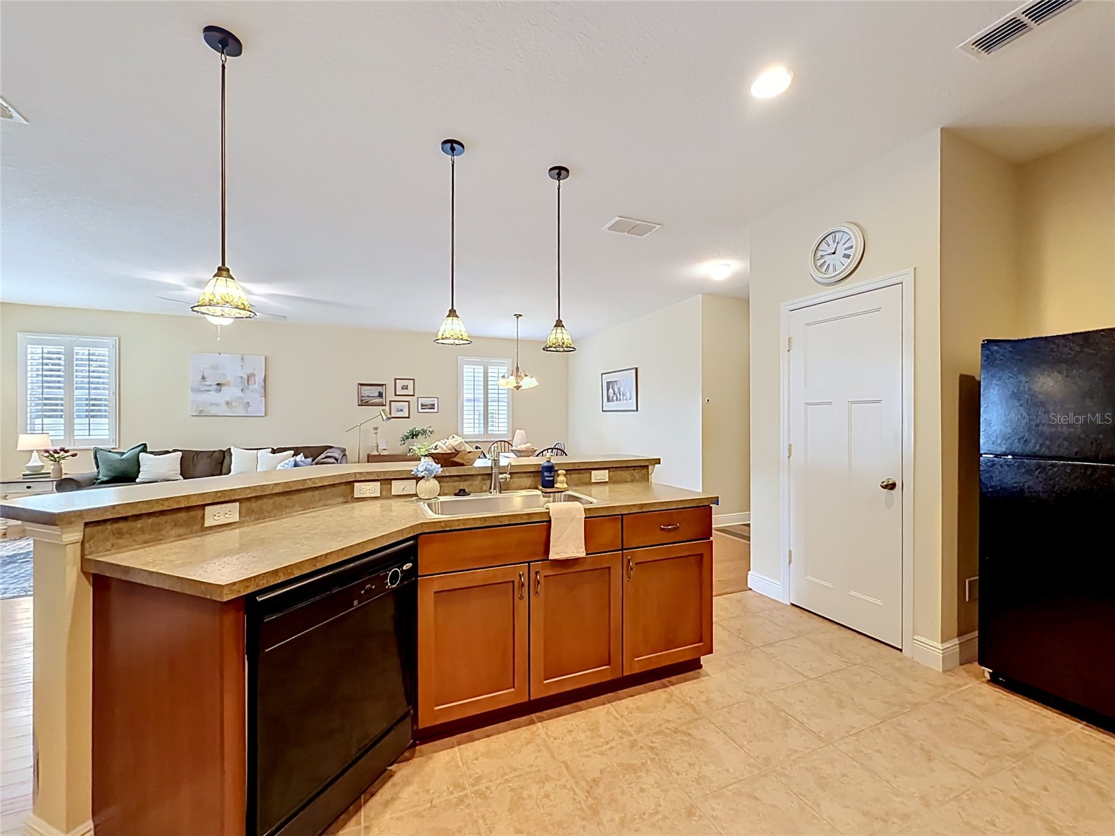1764 Dunedin Drive Tavares FL 32778 - LAKE ELSIE O6411342 image8