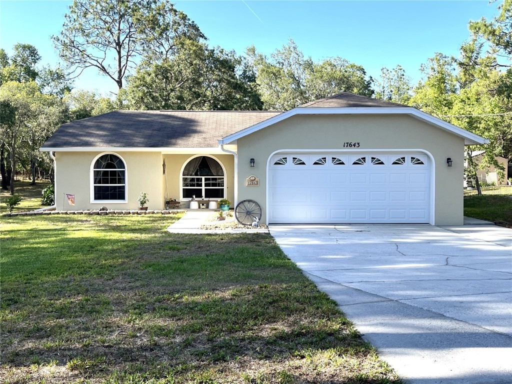 17643 Carthage Avenue Spring Hill FL 34610 W7853824 image1