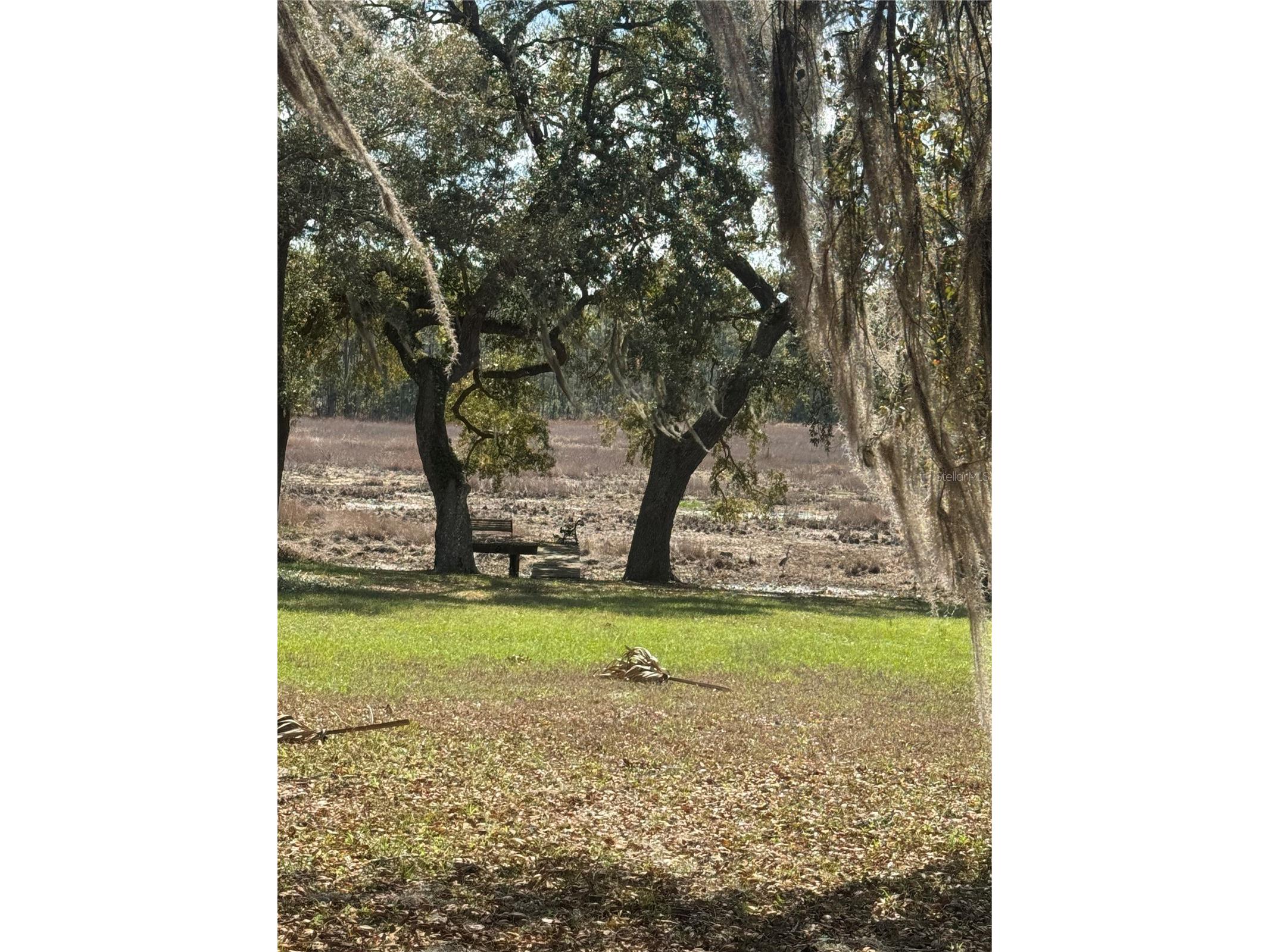 17645 NE 61st Street Road Silver Springs FL 34488 - Grassy Lake OM720480 image13
