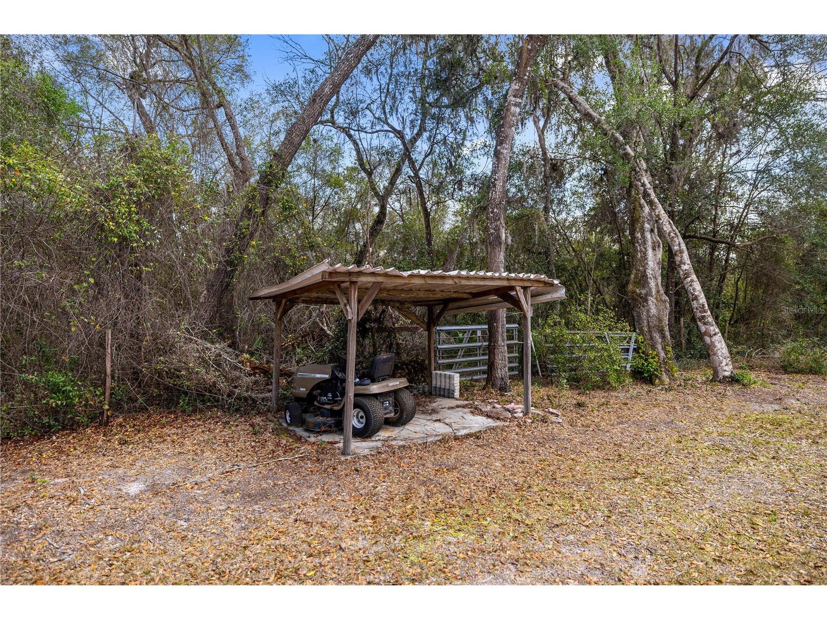 17645 NE 61st Street Road Silver Springs FL 34488 - Grassy Lake OM720480 image32
