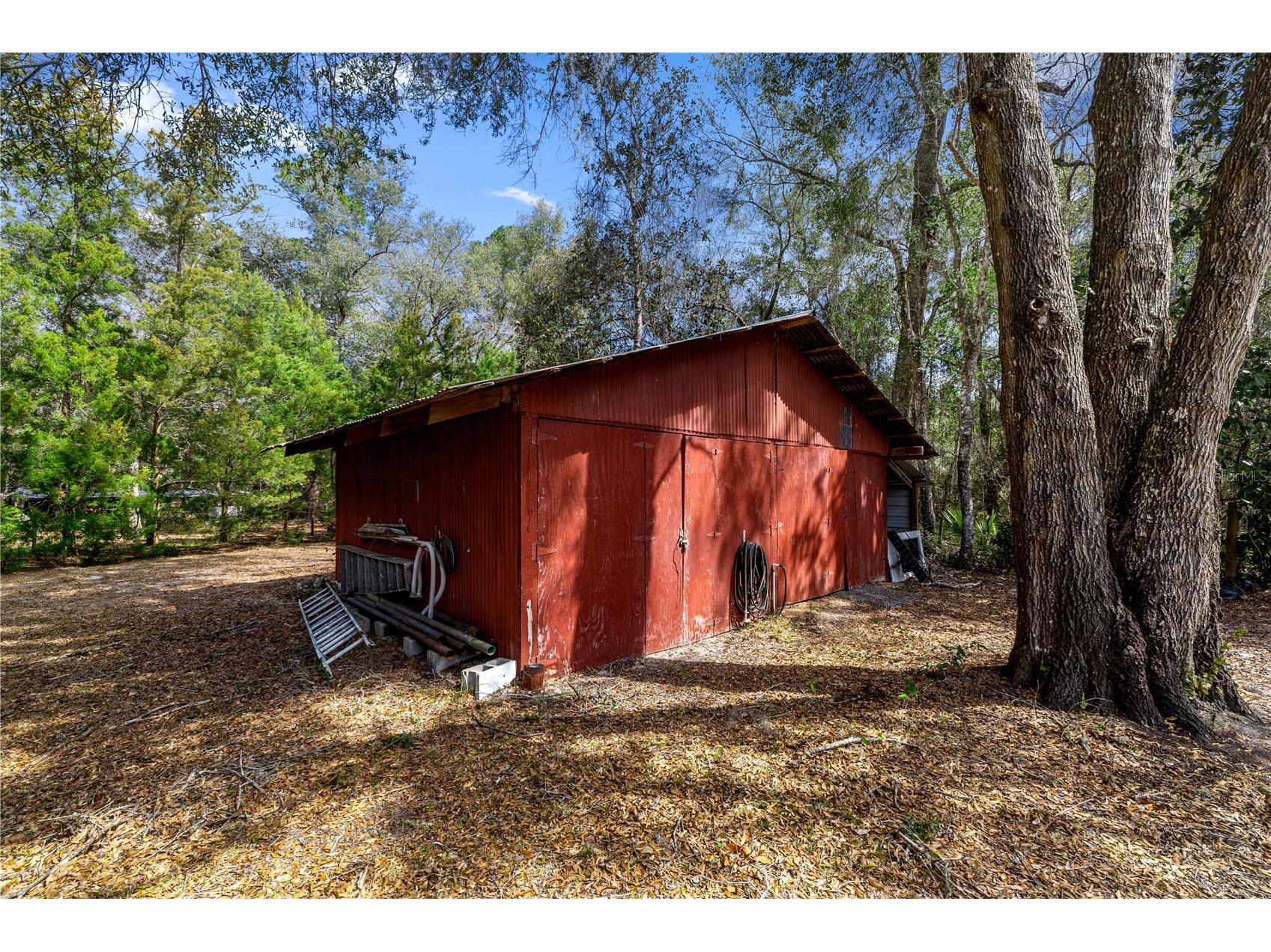 17645 NE 61st Street Road Silver Springs FL 34488 - Grassy Lake OM720480 image33