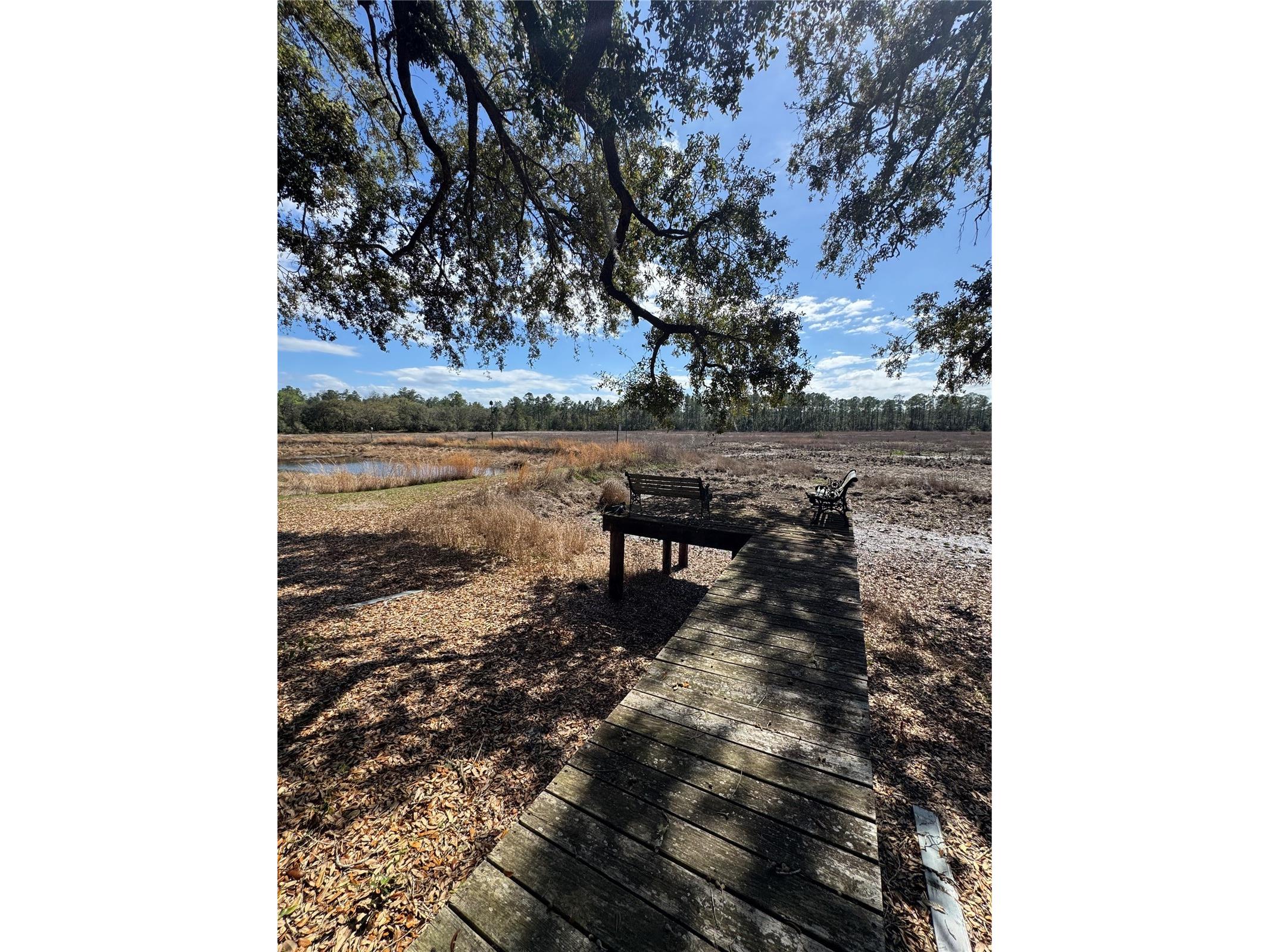 17645 NE 61st Street Road Silver Springs FL 34488 - Grassy Lake OM720480 image38