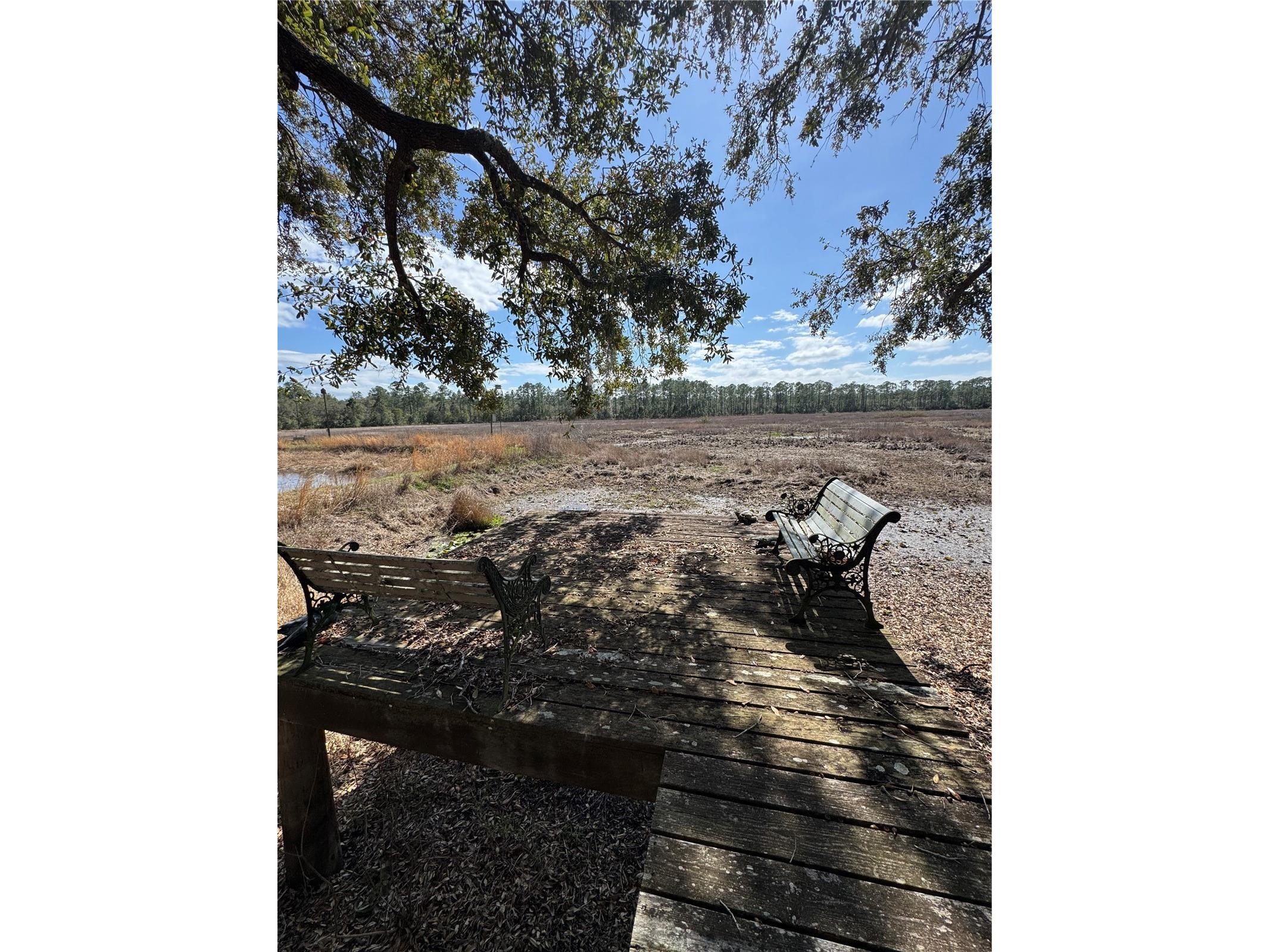 17645 NE 61st Street Road Silver Springs FL 34488 - Grassy Lake OM720480 image41