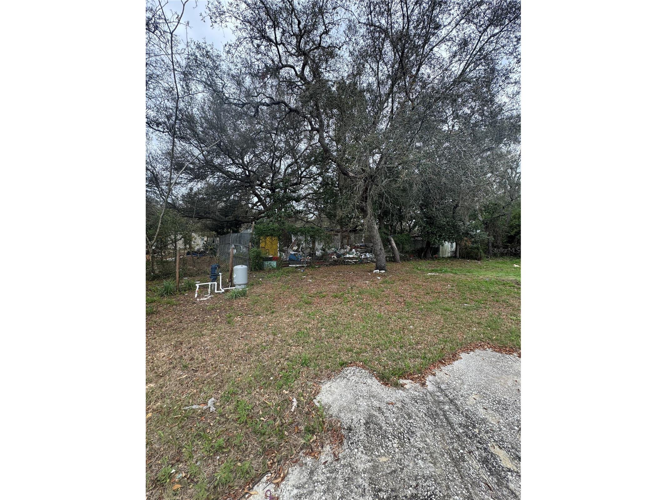 17645 NE 61st Street Road Silver Springs FL 34488 - Grassy Lake OM720480 image42