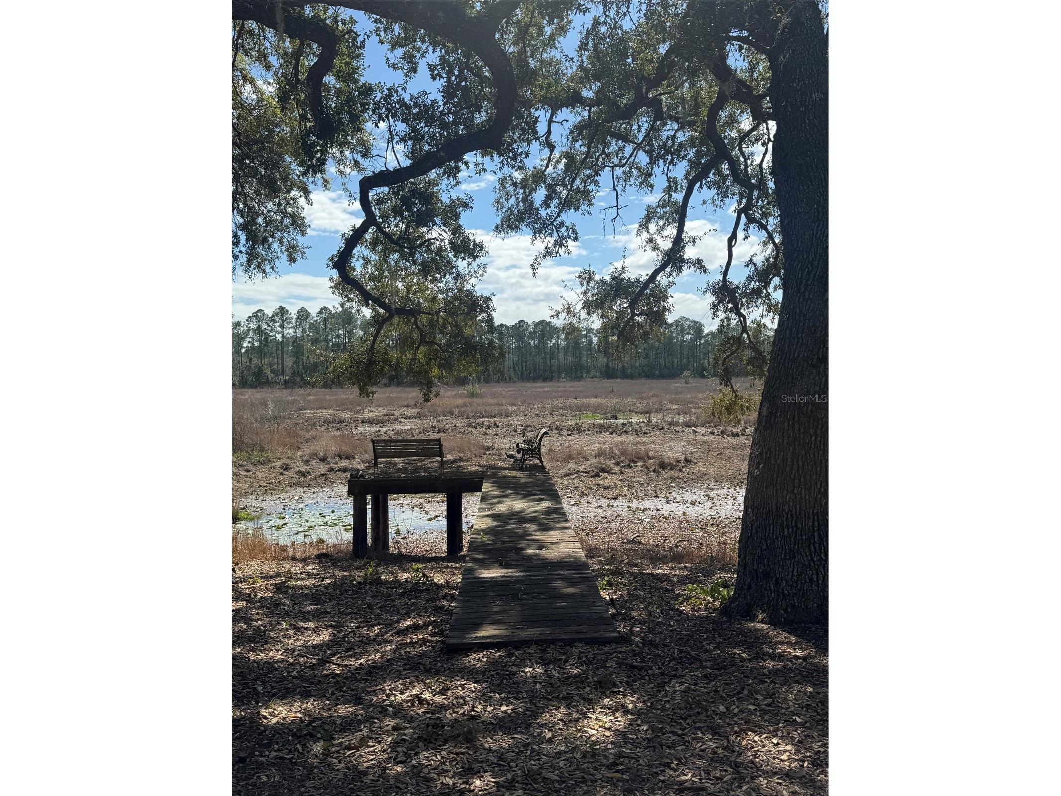 17645 NE 61st Street Road Silver Springs FL 34488 - Grassy Lake OM720480 image8